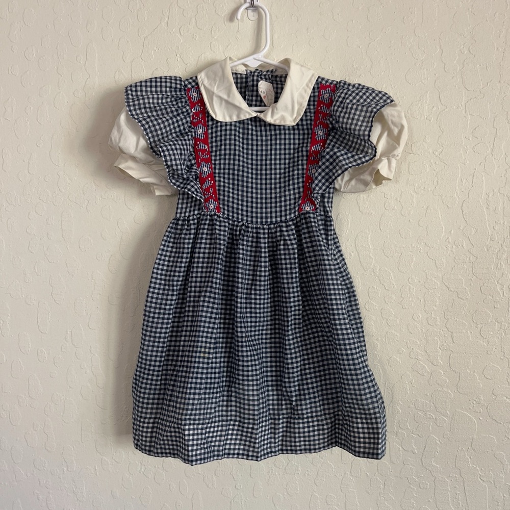 Vintage 60s 70s Tiny Town Gingham Peter Pan Collar Floral Embroidered Dress 3T